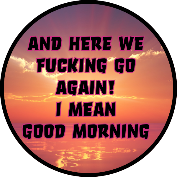 AND HERE WE GO AGAIN SCENT SEEDS AIR FRESHENER